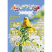 TalesOfTheGods & Practical Witchcraft Ostara Edition 2022
