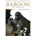 Baboon Metaphysics: The Evolution of a Social Mind