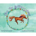Mac, The Butterfly Horse