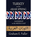 Turkey and the Arab Spring: Leadership in the Middle East