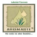 Aromaste: No solo es oler bonito...