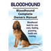 Bloodhound. Bloodhound Complete Owners Manual. Bloodhound book for care, costs, feeding, grooming, health and training.