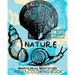 Nature Mindfulness Meditation Adult Coloring Book