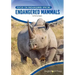 Endangered Mammals