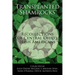 Transplanted Shamrocks Recollections of Central Ohio's Irish Americans