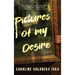 Pictures of My Desire