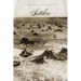 Settlers