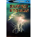 Seemore Readers: Super Storms - Level 2