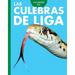 Curiosidad Por Las Culebras de Liga