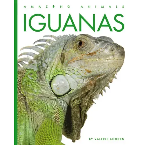 Iguanas