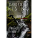 The Raven And The Crow: Dark Storm Rising