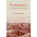 Fire from Heaven: Life in an English Town in the Seventeenth Century