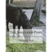 The Shetland Pony: His Breeding, Care and Training