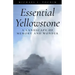 Essential Yellowstone: A Landscape of Memory and Wonder