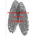 Promoting Effective Homicide Investigations