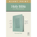 NLT Personal Size Giant Print Bible, Filament Enabled Edition (Red Letter, Leatherlike, Floral Frame Teal)