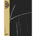 Suspect: Volume 1, Year 1