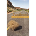 Tumbleweed: A Traveling Nurses Stories of Faith