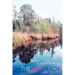 The Bog Lady
