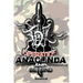 Operation Anaconda and Beyond