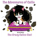 Callie: The Crazy Calico Cat