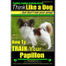 Papillon, Papillon Training AAA AKC: Think Like a Dog, but Don't Eat Your Poop! Papillon Breed Expert Training: Here's EXACTLY How to Train Your Papil