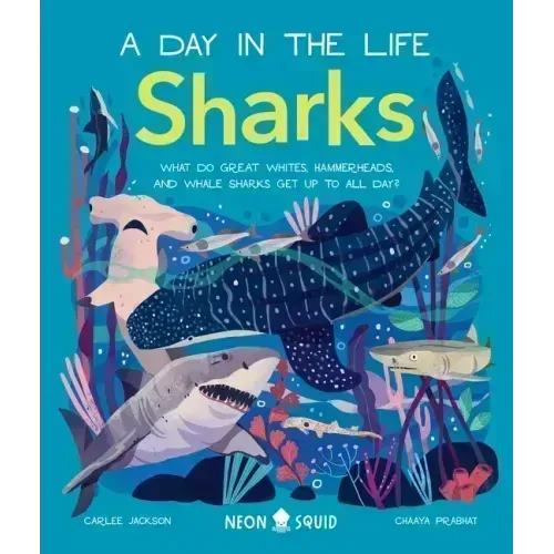 Sharks (a Day in the Life): What Do Great Whites, Hammerheads, and Whale Sharks Get Up to All Day?