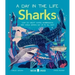 Sharks (a Day in the Life): What Do Great Whites, Hammerheads, and Whale Sharks Get Up to All Day?