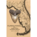 Florida Fossils: Shark Teeth & Marine Animals