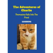 The Adventures of Charlie: Thomasina Falls Into The Pond