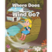 Where Does the Wind Go?