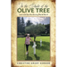 In the Shade of the Olive Tree: Love and Sacrifice During World War II