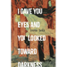I Gave You Eyes and You Looked Toward Darkness