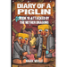 Diary of a Piglin Book 10: Attacked by the Nether Dragon