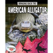 Bringing Back the American Alligator