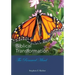 BIBLICAL TRANSFORMATION--The Renewed Mind