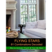 Flying Stars 81 Combinations Decoded: How to Activate, Crack, & Cure the Stars