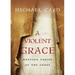 A Violent Grace: Meeting Christ at the Cross