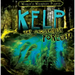 Kelp: The Underwater Forest!