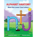 Alphabet Anatomy: Meet the Lower Case Letters
