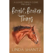 Bright, Broken Things: Good Things Come Book 0.5 (A Prequel)