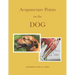 Acupuncture Points on the Dog