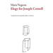 Elegy for Joseph Cornell