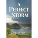 A Perfect Storm: A Sgt. Windflower Mystery