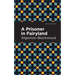 A Prisoner in Fairyland