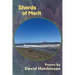 Sherds of Merit
