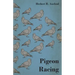 Pigeon Racing