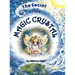 The Secret of the Magic Crystal
