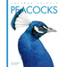 Peacocks