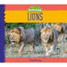 Lions